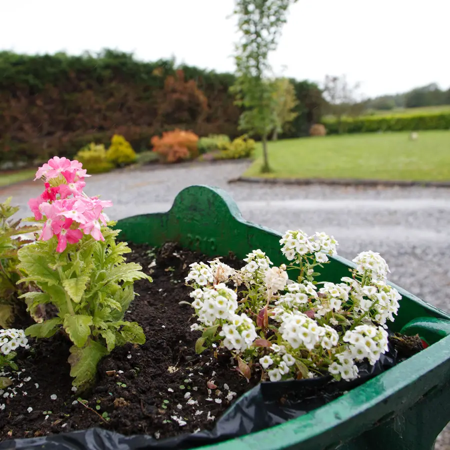Dún Cromáin Bed & Breakfast, Banagher, County Offaly Bed & Breakfast Accommodation, Banagher, County Offaly